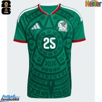 Mexico Roberto Alvarado #25 Hjemmedrakt EM 2024 Kortermet